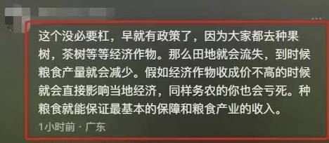 植茶叶被阻拦？镇政府回应后我选择支持AG真人游戏平台风波又起！广西农户种(图4)