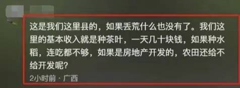 植茶叶被阻拦？镇政府回应后我选择支持AG真人游戏平台风波又起！广西农户种(图5)