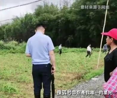 植茶叶被阻拦？镇政府回应后我选择支持AG真人游戏平台风波又起！广西农户种(图6)