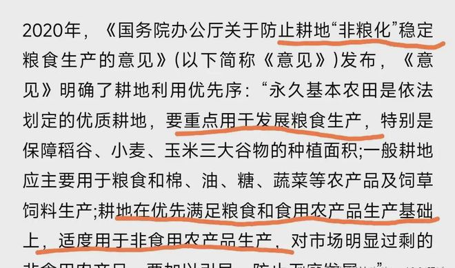 植茶树网民集体力挺事态引发关注!AG真人国际广西镇政府阻拦农户种(图3)