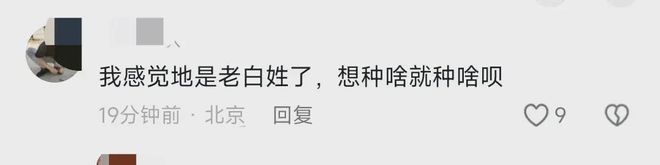 植茶树网民集体力挺事态引发关注!AG真人国际广西镇政府阻拦农户种(图8)