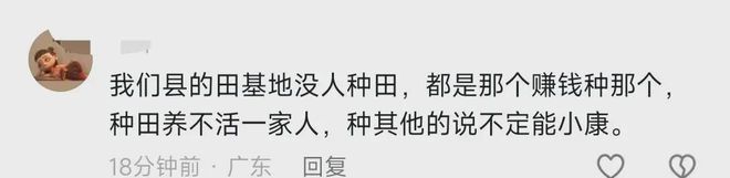 植茶树网民集体力挺事态引发关注!AG真人国际广西镇政府阻拦农户种(图11)