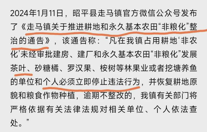 植茶树网民集体力挺事态引发关注!AG真人国际广西镇政府阻拦农户种(图13)